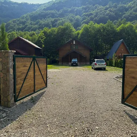 Dream * Ivisovo Greblje